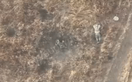 为什么不能在战场上装死?这名俄军士兵做了一个很好的范例。
只见他趴在地上一动不动