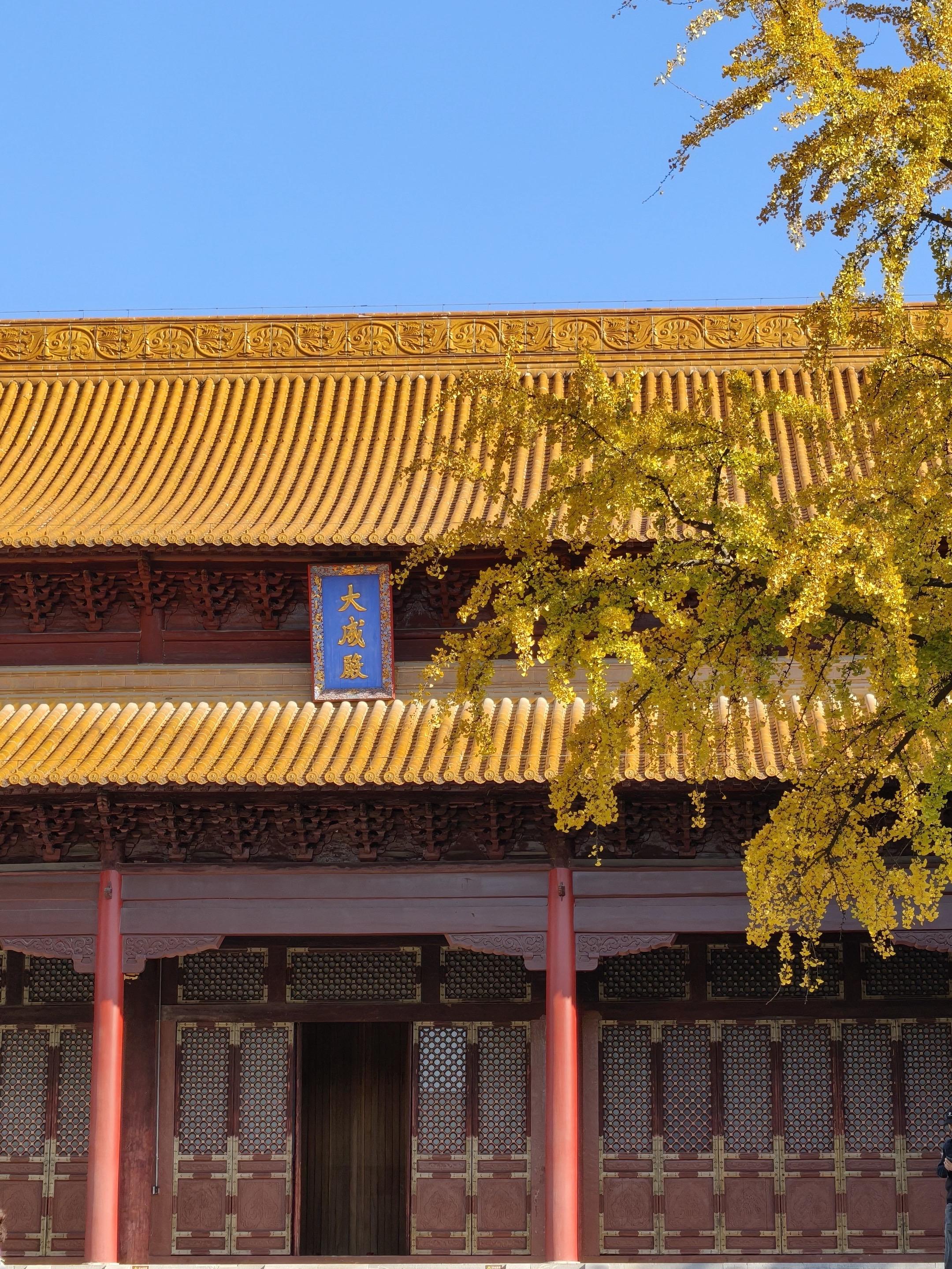 秋日鎏金：追寻金陵与西湖的限定光影。📍 南京朝天宫大成殿 这里是南京...