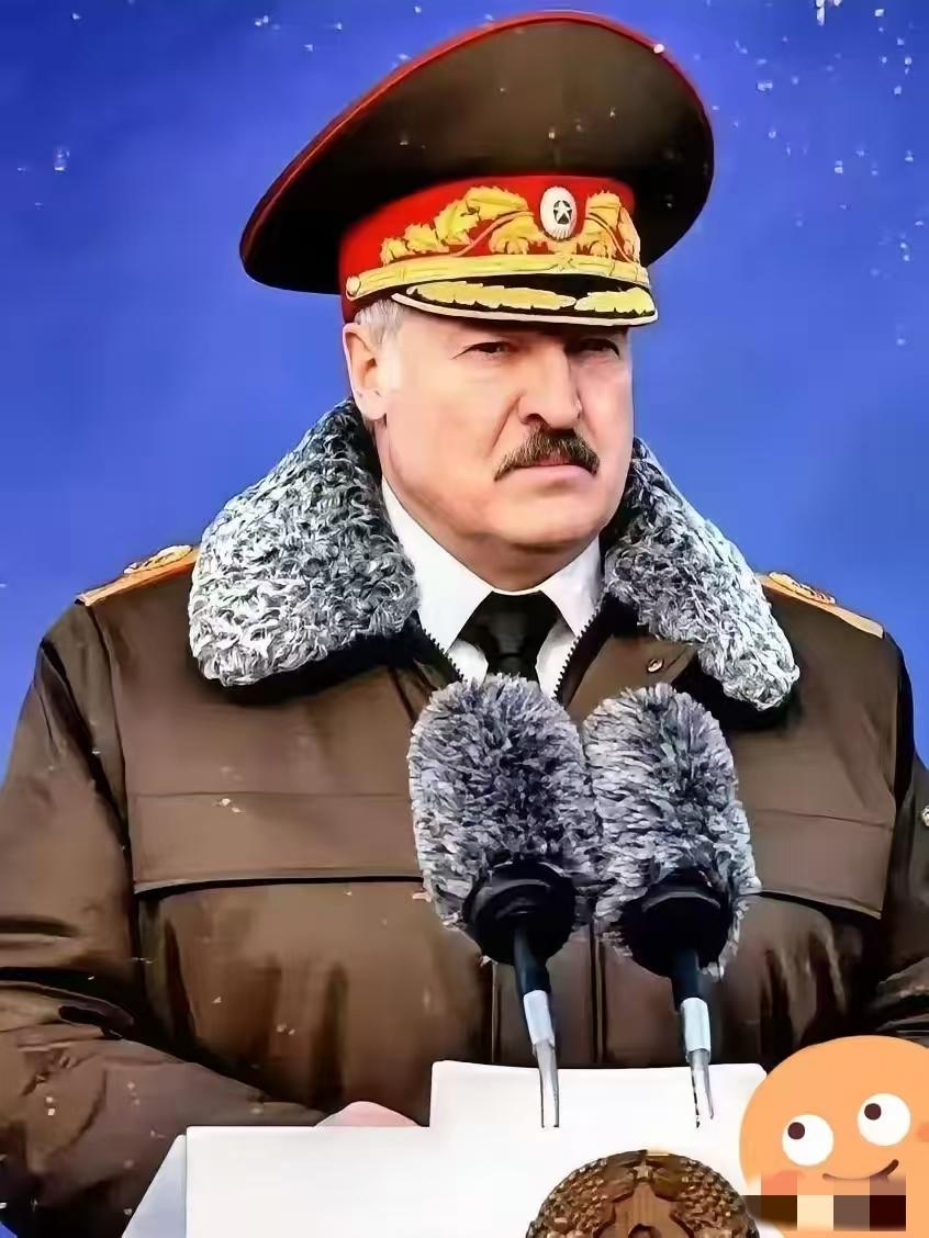 卢卡申科一句话，撕开了中国最可怕的底牌。不是航母下饺子，也不是芯片突围。卢卡申科