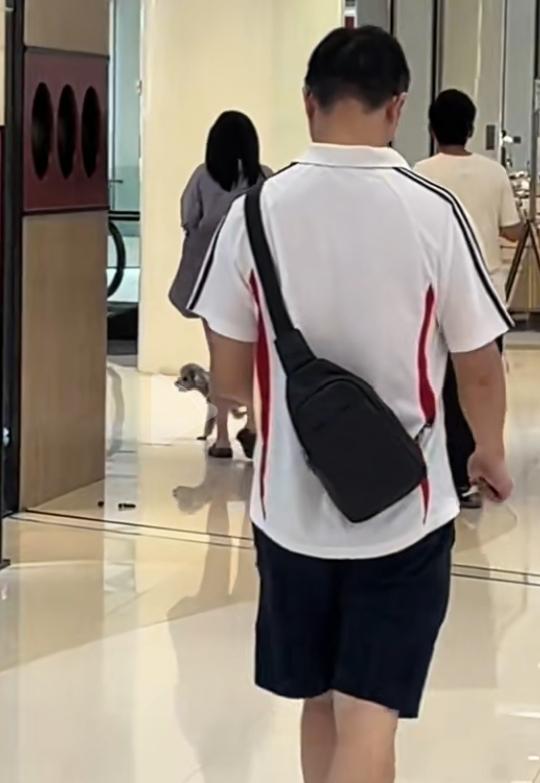 女子拉着宠物狗逛商场，狗进商场就算了，你还随地大小便！主人也不管不问，有点过分吧