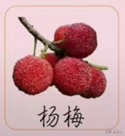 采桑子55·杨梅
       绛珠攒就玲珑果，颗颗凝脂，细蕊青垂，疑是丹砂坠玉