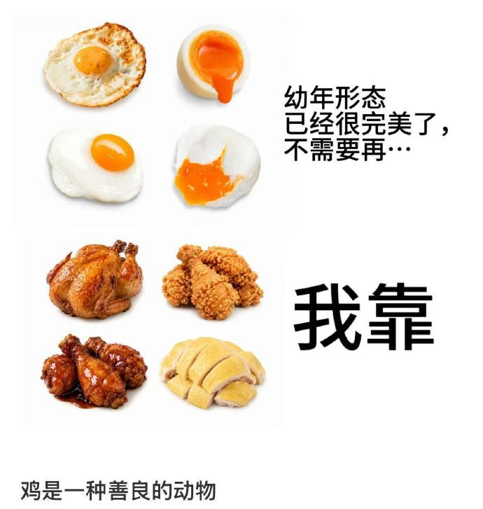鸡是一种善良的动物