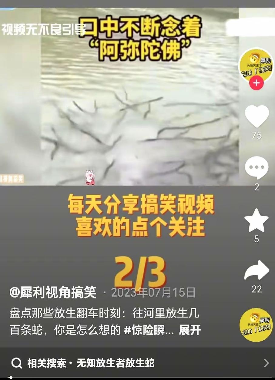 今年很多地方的蛇，透着一股邪门。
不是说山里，是那种住了几十年、连老鼠都看不见的