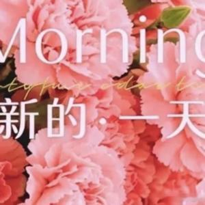 早安心语 新的一天开始啦，愿你如晨光般明朗，像微风般轻盈，所有努力都有回响，所有