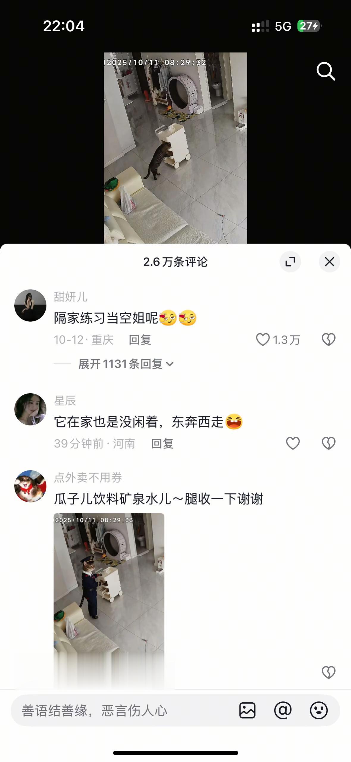 你好猫猫空姐🐱