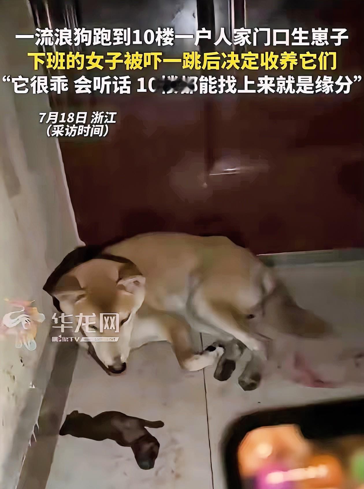 这就是缘分！浙江，家住十楼的女子下班回家，刚到门口就闻到一股血腥味，吓得她赶紧打