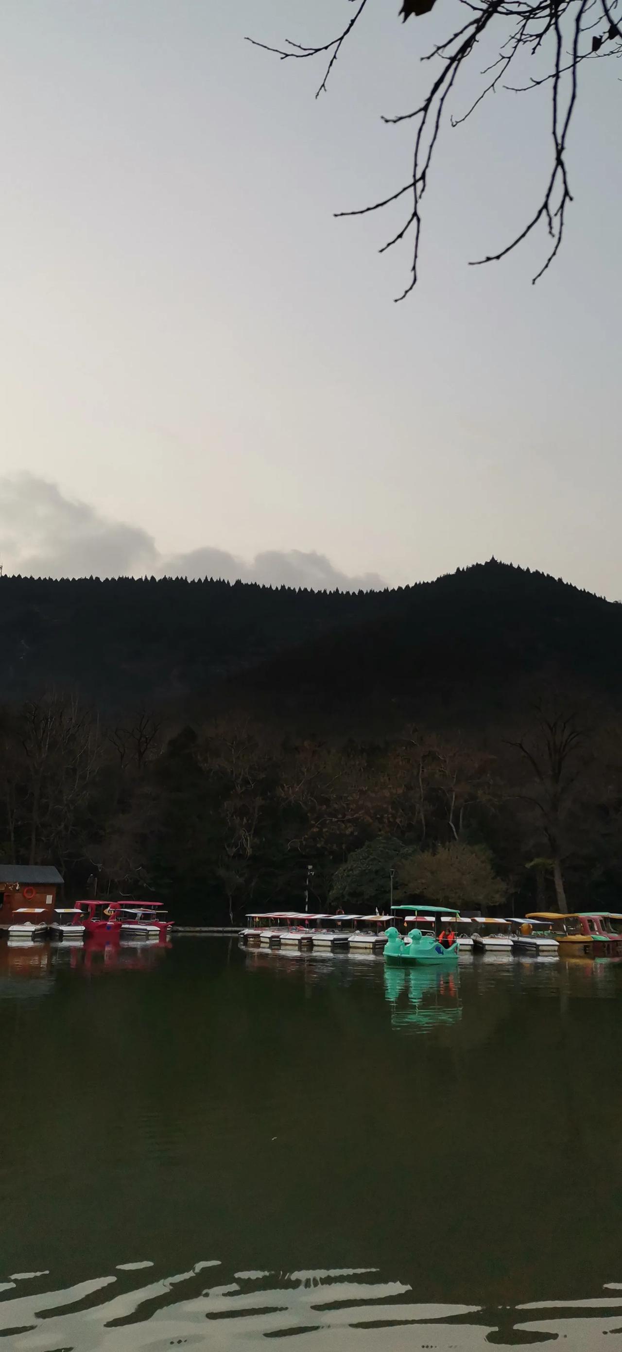 公园随手拍