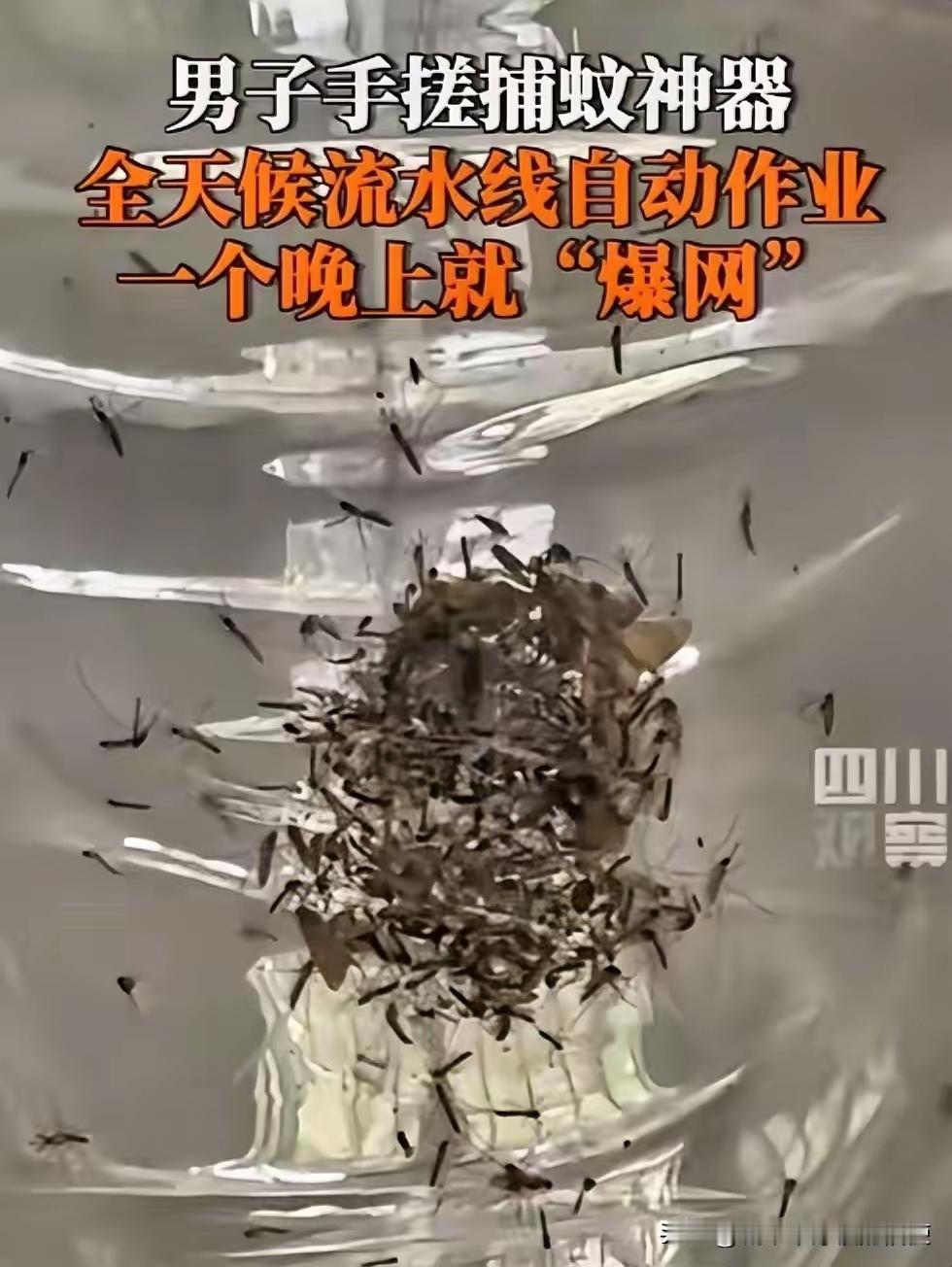 福建，一男子被村里的蚊子叮的不胜其烦，于是灵机一动，靠着风扇加紫光灯，自制一个捕