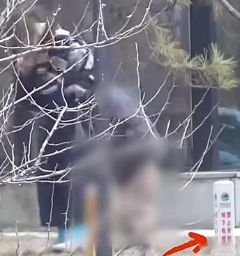 白百合带着小儿子在公园玩耍，孩子突然感到尿意，白百合急忙带他到树林边解决。 虽然