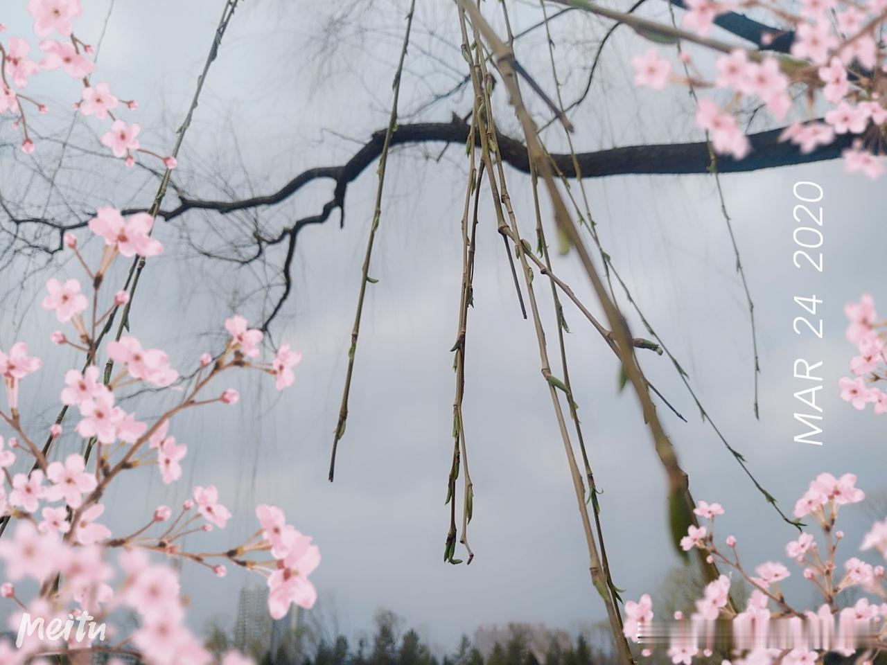 短期来看，受山西沁源重特大事故影响，全国煤矿安全监管进入史上最严阶段。新版煤矿重