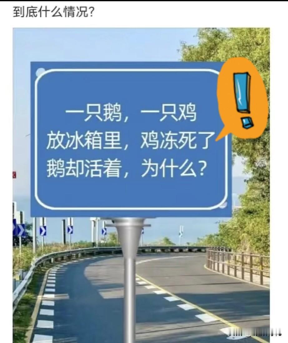 今天整理手机，发现几个搞笑聊天记录，简直是“快乐源泉”！

快来一起感受这份快乐