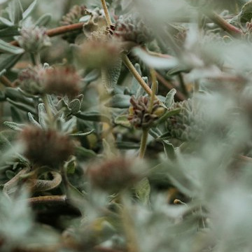 每日一善 阳光信用 用善言铺设友谊之桥，用温语化解争议之火。 
