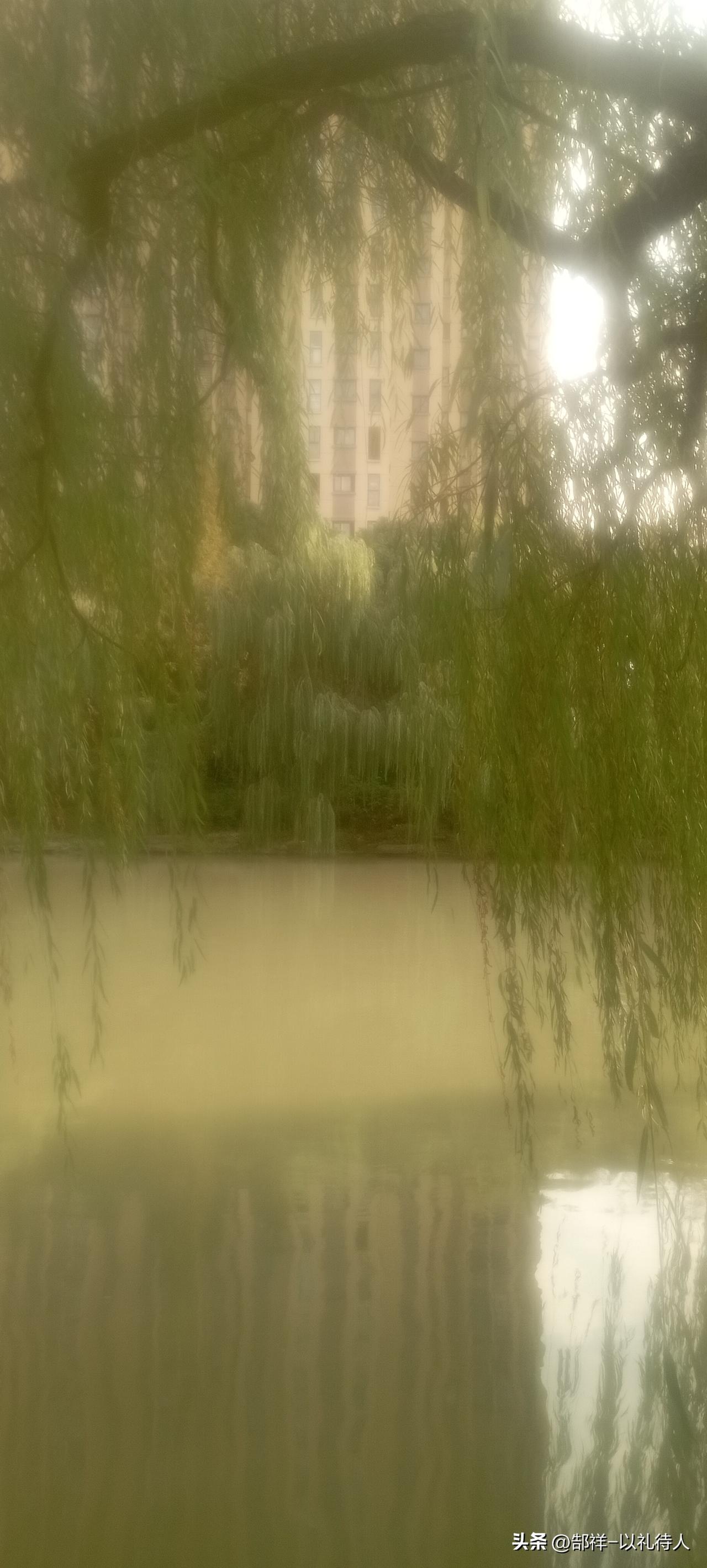 每当节假日，两岸坐满了钓鱼爱好者，老的少的，男的女的，大多数两手空空回家，只是满