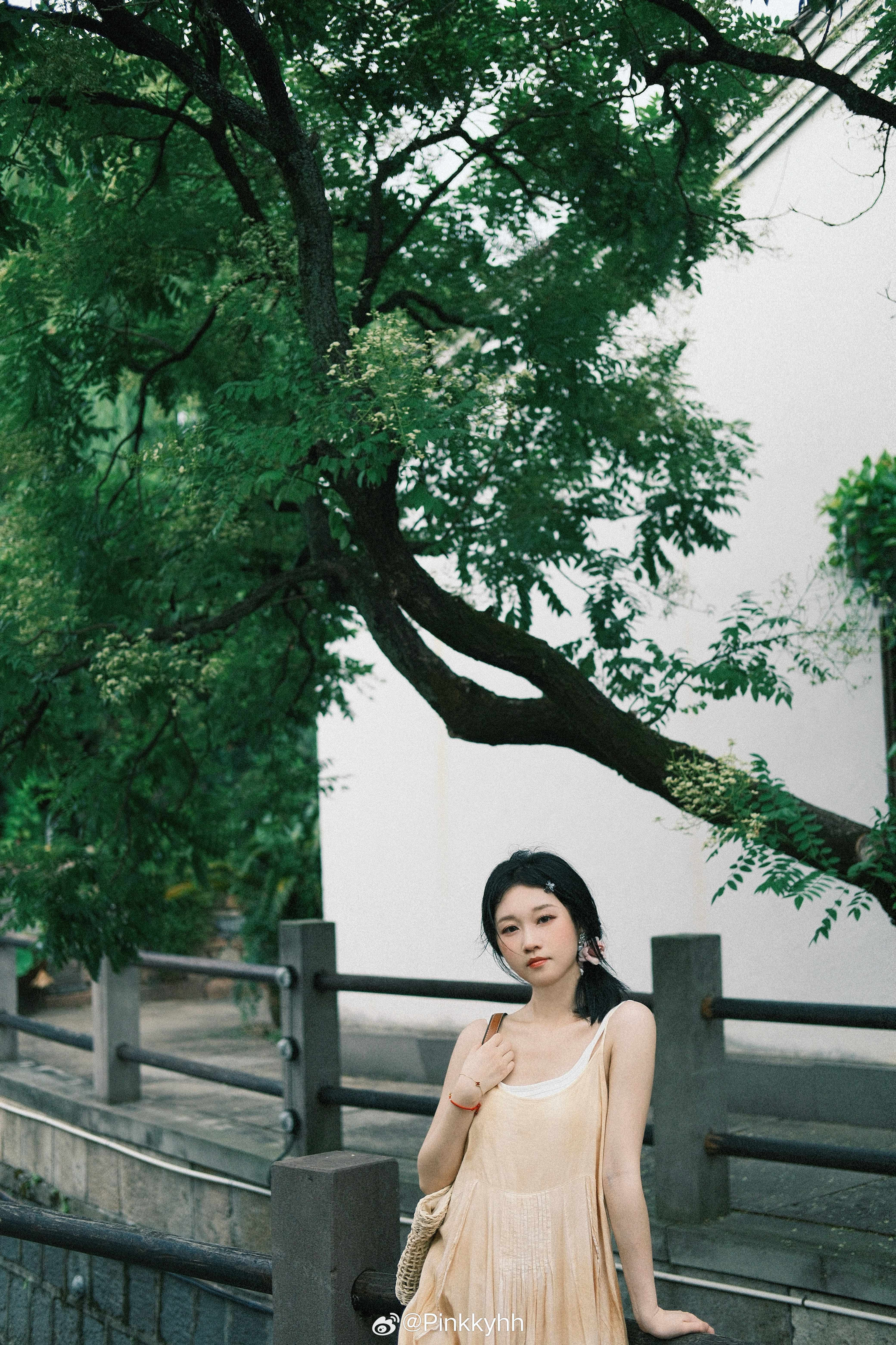 将扰扰 付悠悠🍃  ​​​