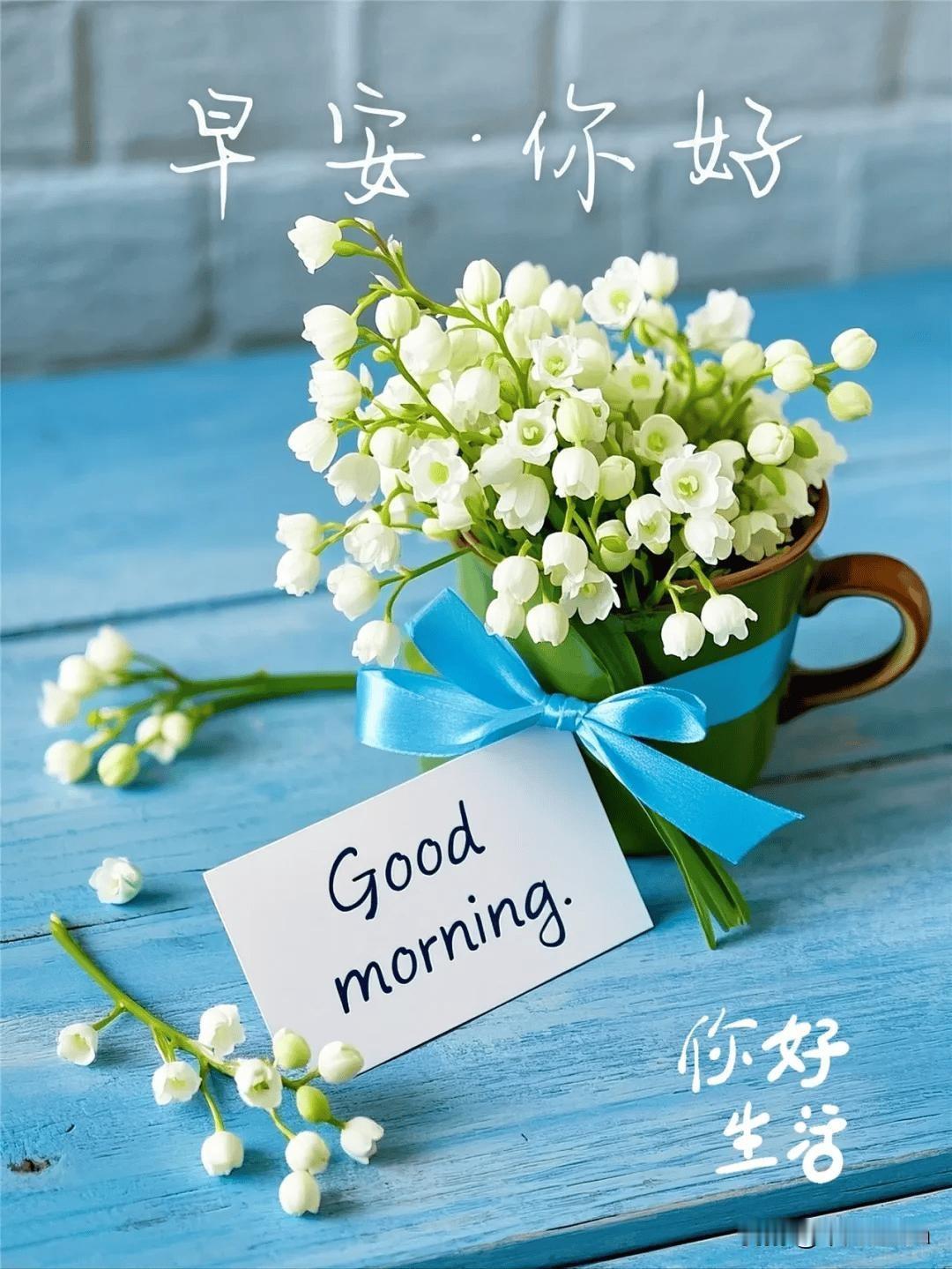 早安，吃好睡好，快乐不倒。