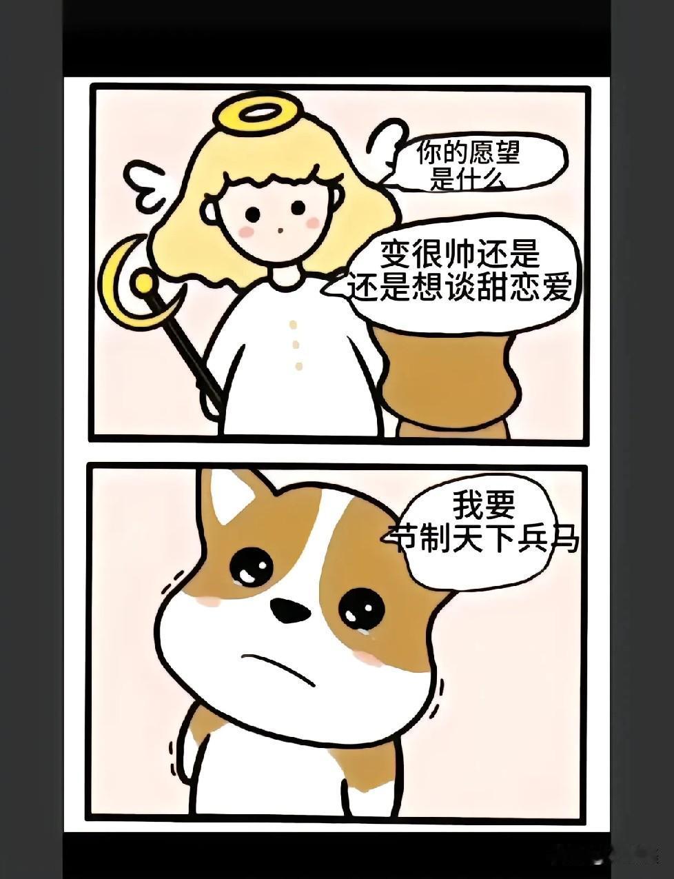 假如你遇到一个天使能帮你实现一个愿望，你希望实现什么？