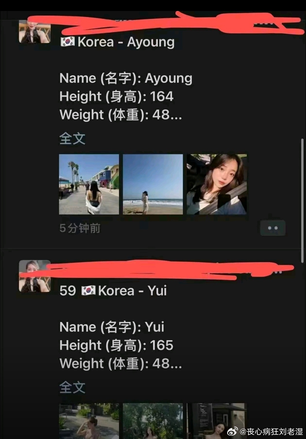 太草了…… 