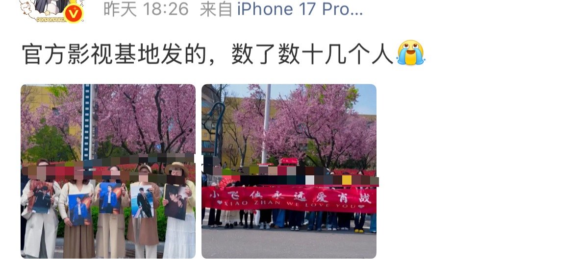 额，小飞侠这次比上次人多，肖战涨粉了