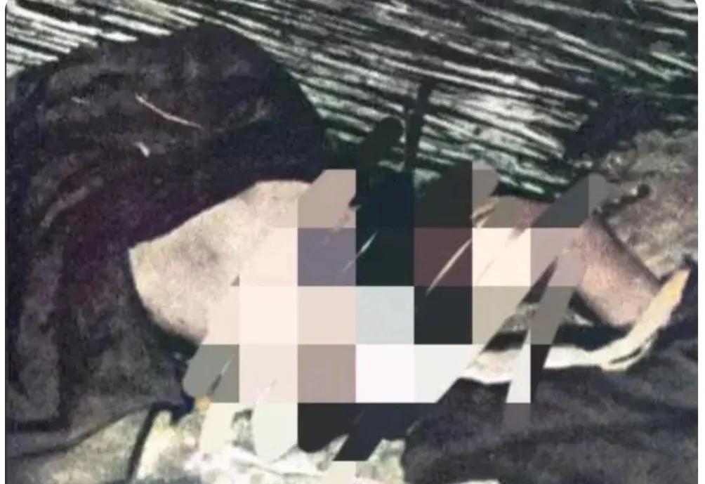 这是南京大屠杀中被日军奸淫虐杀的中国女子下体照片。

照片中，这名女子双腿张开，
