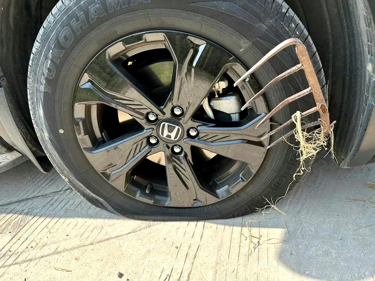 轮胎: 这辈子就没这么离谱过！！！
这扎的都是啥玩意儿？！