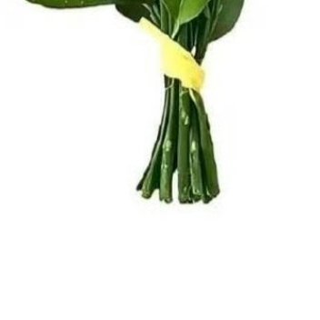 走过路过帮我善一善ss又被狙没了好好活着，不要抱怨生活，就算生活的不如意，就算生