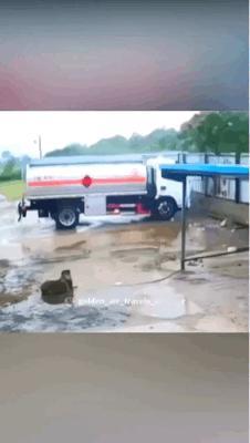 狗子意识到情况不妙
然后就垂直起飞了
所幸毫发无损