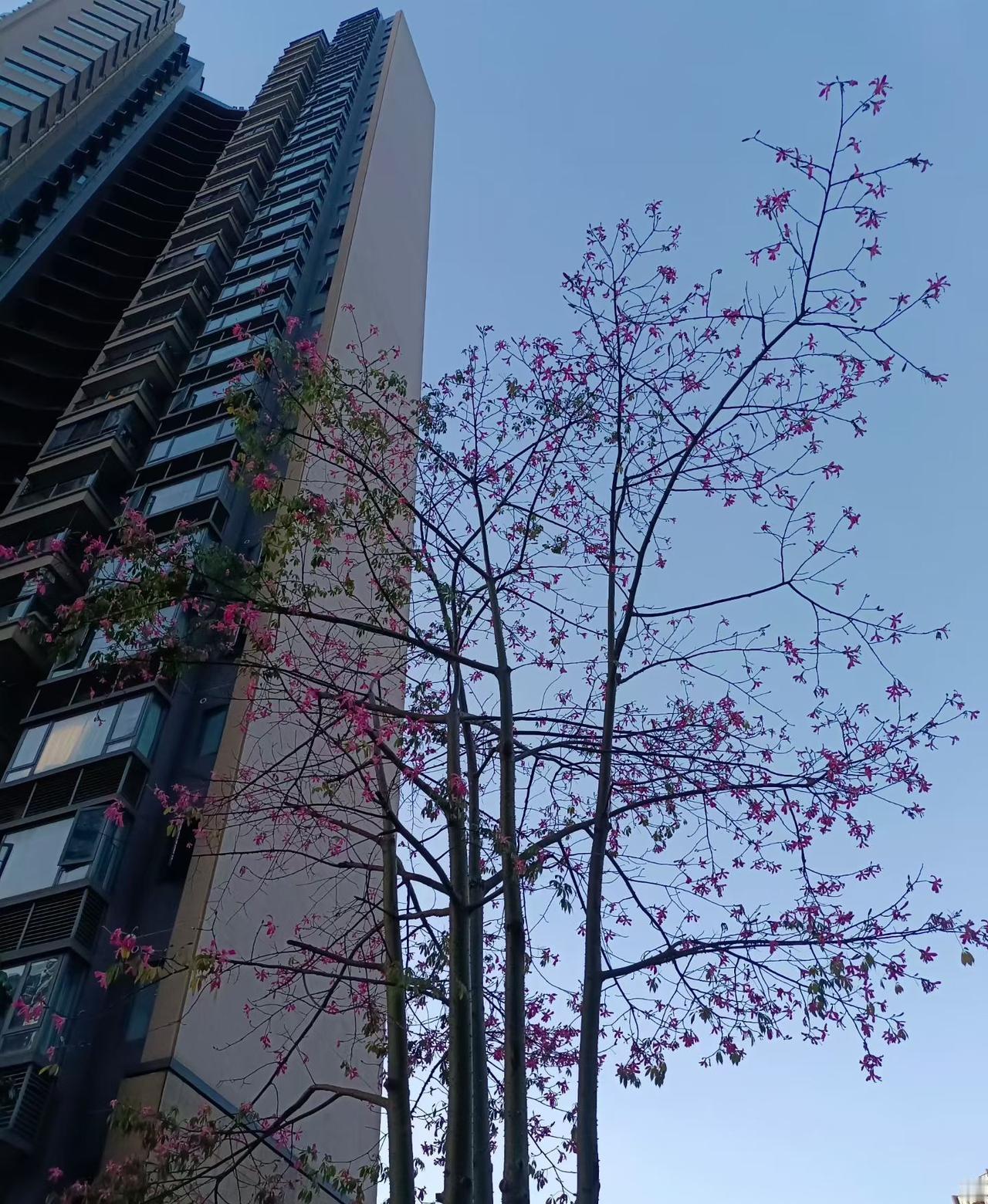 如果有来生，你还相信爱情和婚姻吗不相信，还是一个人比较好。