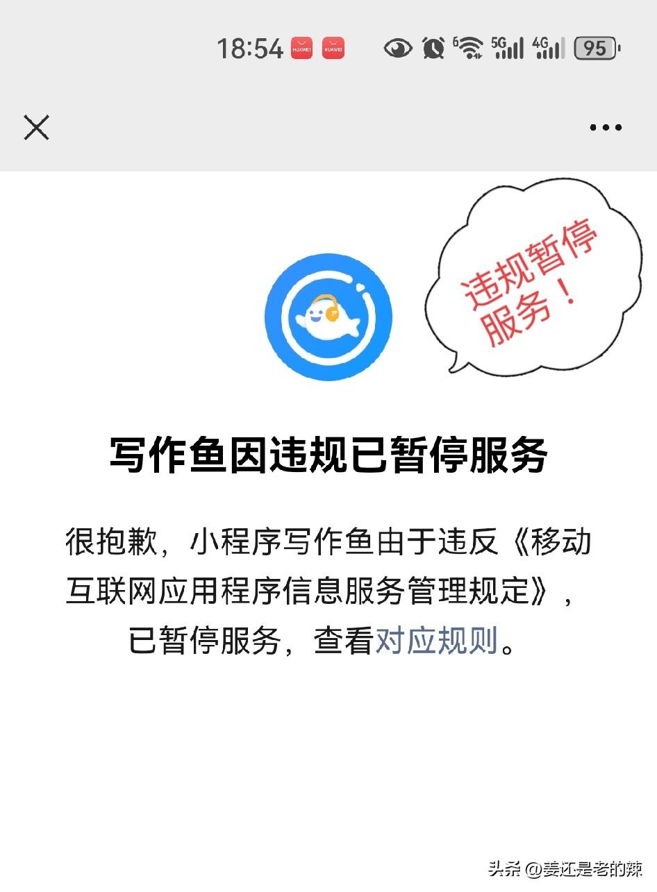 写作鱼AI软件因违规被停止开放服务了！
我是写作鱼的永久普通会员，记得当时花了1