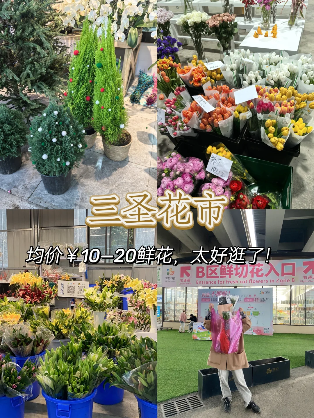 成都探店|三圣乡花市，太好逛！（附地图）