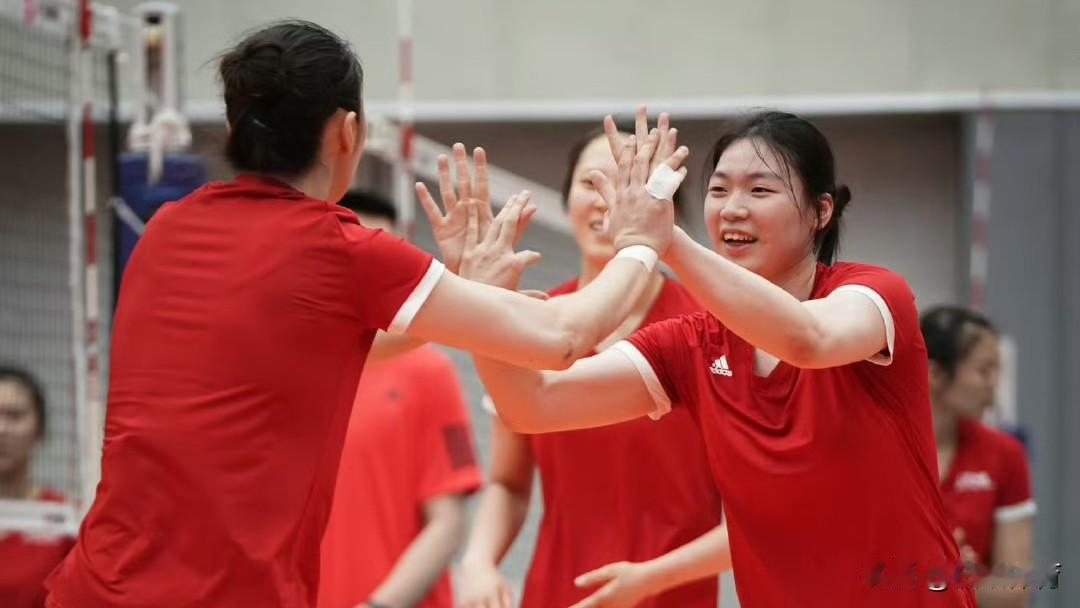 世界女排联赛，中国女排一共报名24人，其中有江苏女排8人，上海女排7人，其他所有