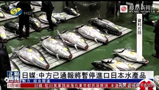 不道歉的后果很严重！
凤凰卫视最新快讯:
中国已暂停进口日本一切水产品。  
