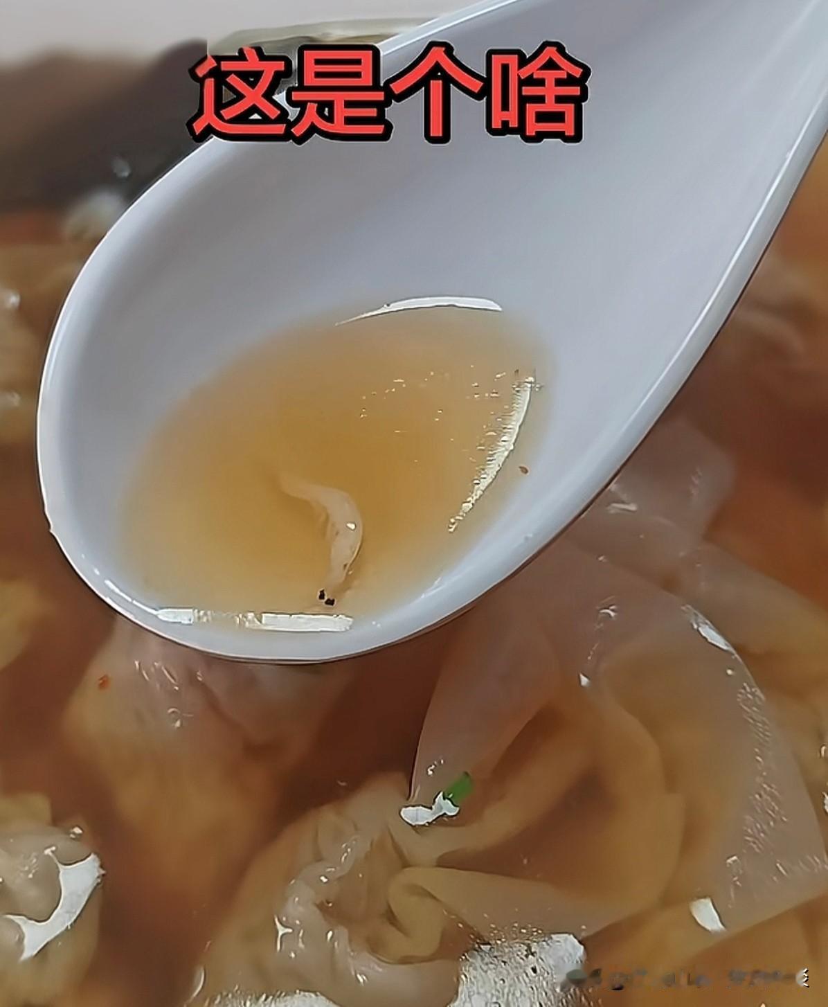 如果之前没见过虾皮的话，来浙江吃小混沌的时候，是很容易把它当做小虫子的。如果你因