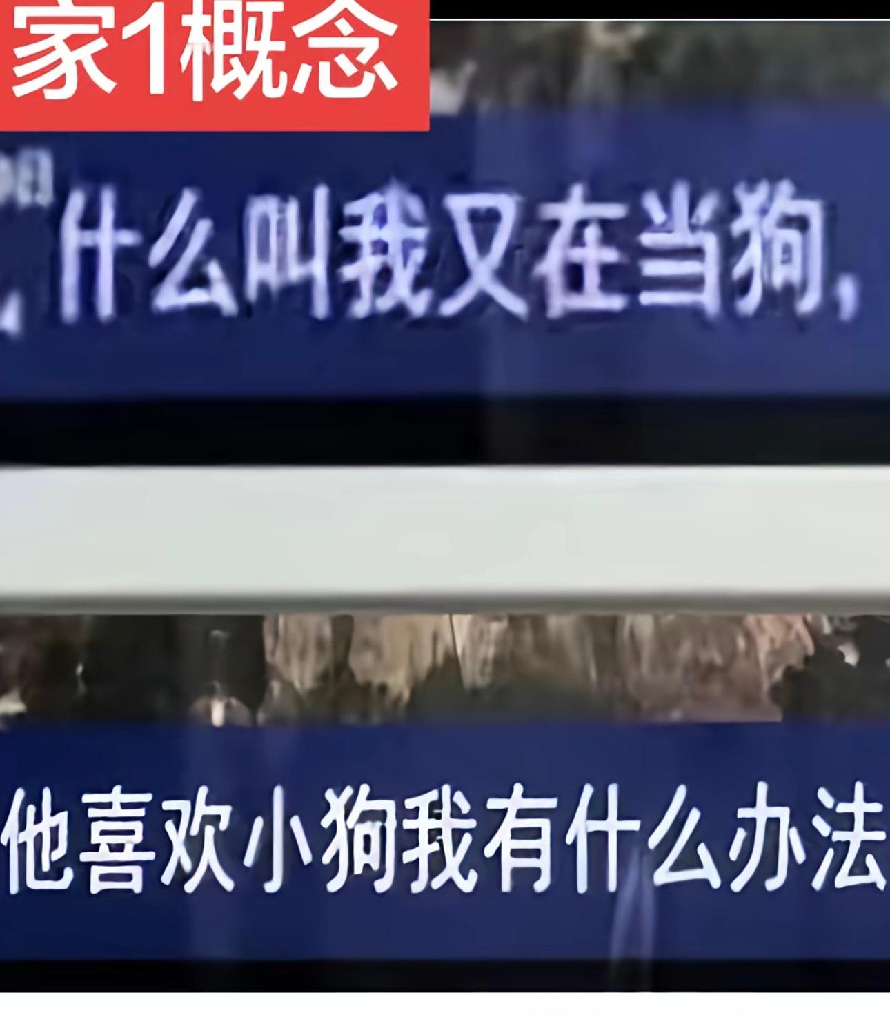 分享图片 