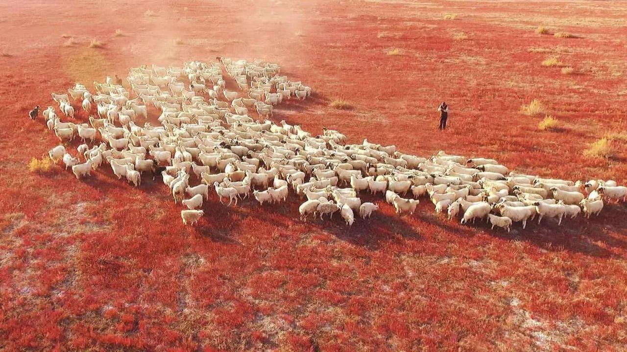 —这里是内蒙古阿拉善盟额济纳旗