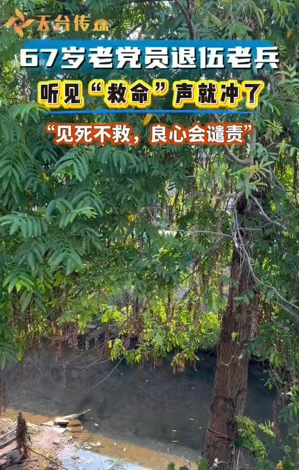 三次跳水救人的台州男子用行动书写担当梁允飞：三次入水救人的生命守护者