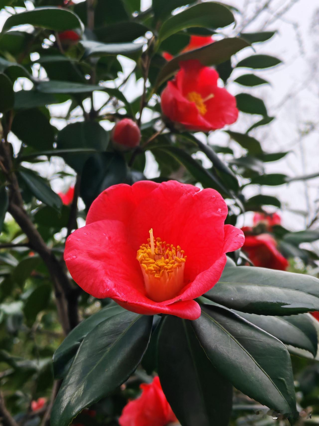 删了300多个好友后，日子反倒越过越好了

年初大表哥出差顺道来看我们，饭桌上喝