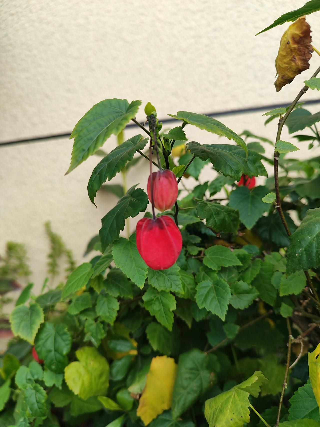 看淡人生,善待自己,你做到了吗?看淡人生，是历经风雨后的通透，不困于得失，不惑于