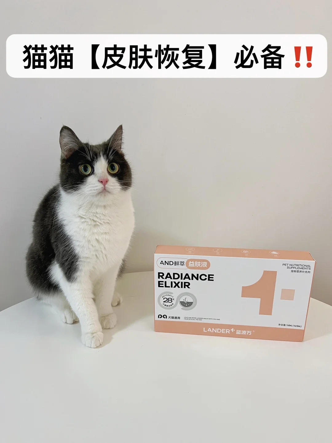 猫咪皮肤病反反复复，是不是少了这一步⁉️