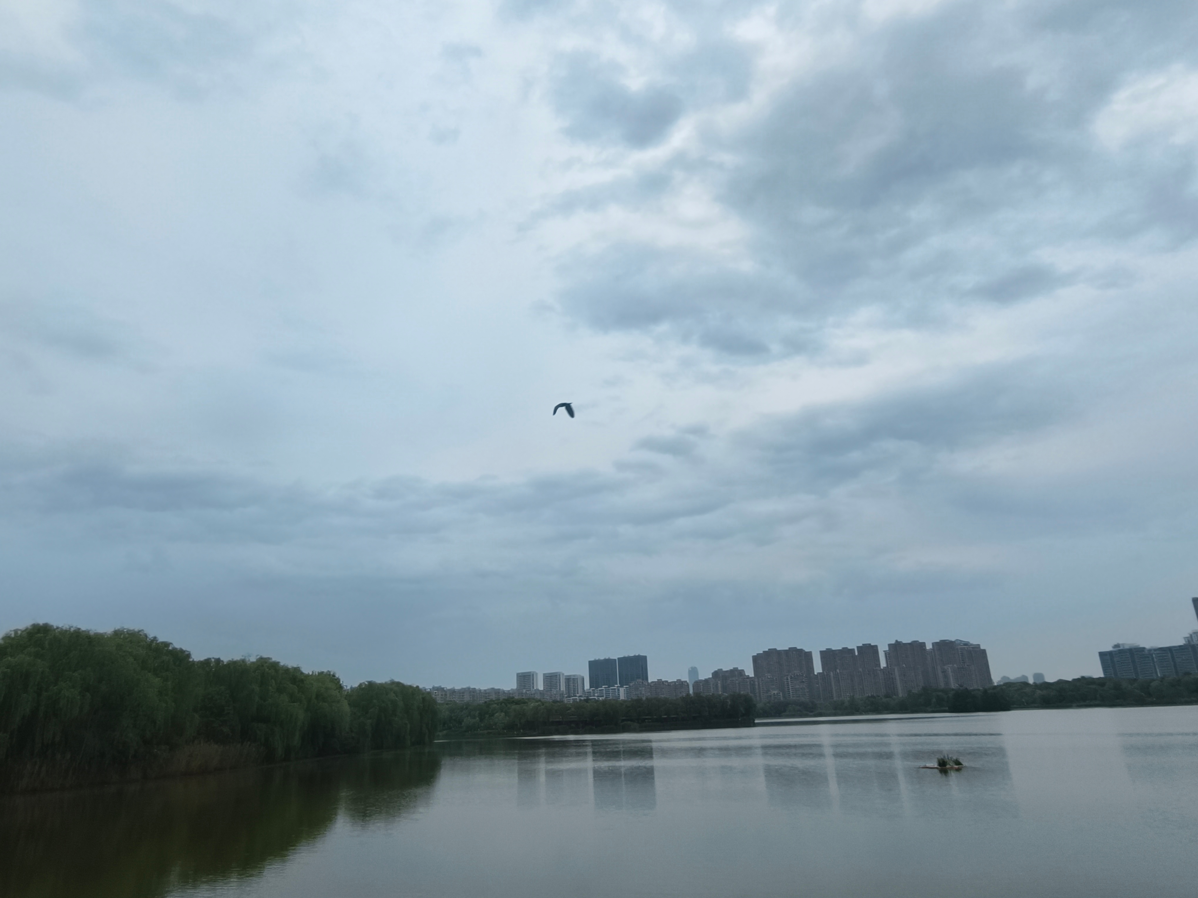 看到老天睁一只眼闭一只眼 ，以为是打算放过我，原来是在架狙。 