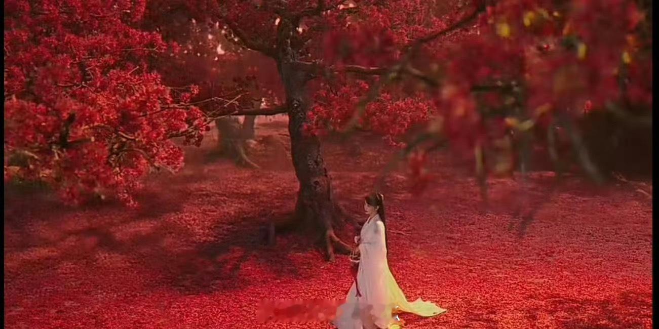 #杨紫古装白衣#杨紫的古装白衣造型是真的很美呀，在凤凰树下就更美了，杨紫的古装角