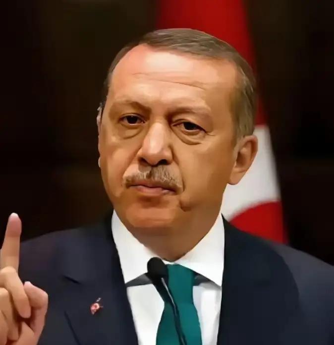 土耳其总统称中东正经历“痛苦时刻” 土耳其总统说中东正经历“痛苦时刻”，这话说得