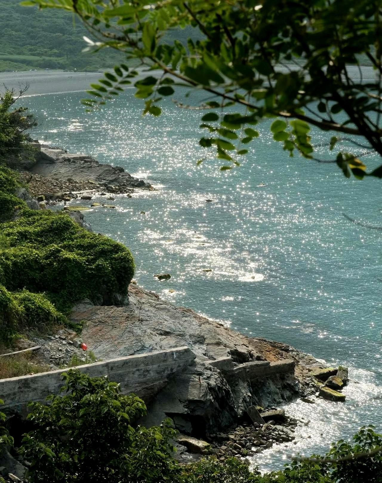 热夜里，客厅风扇打着圈，48岁的母亲擦头发穿着吊带，去年毕业暂住家的22岁儿子在
