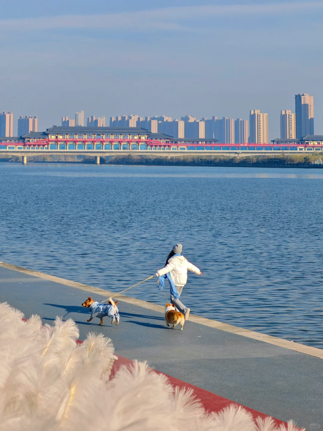 西安地铁直达！海边city walk路线太美啦🐚