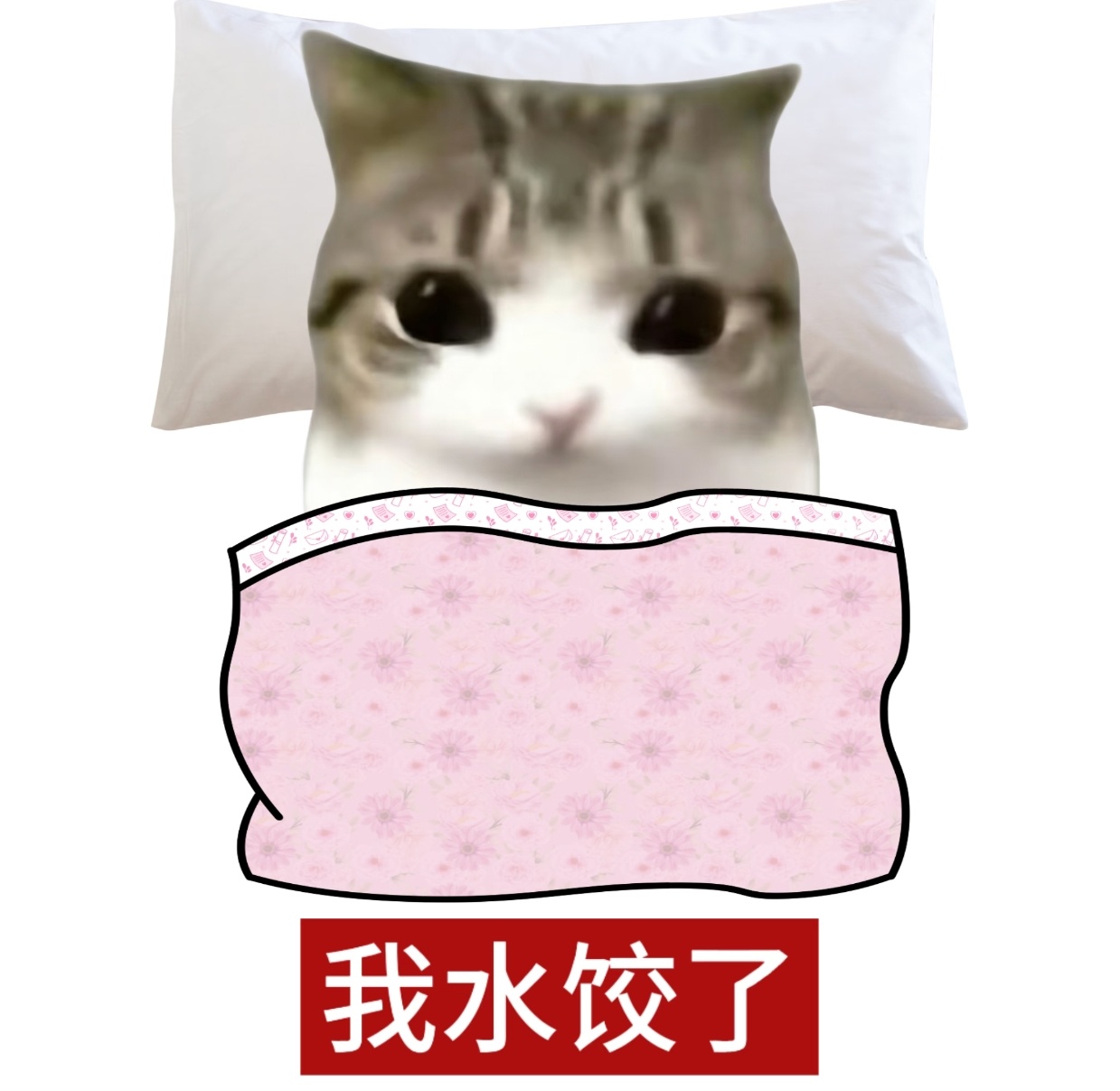 不聊了 手机只剩99%的电了 晚安 
