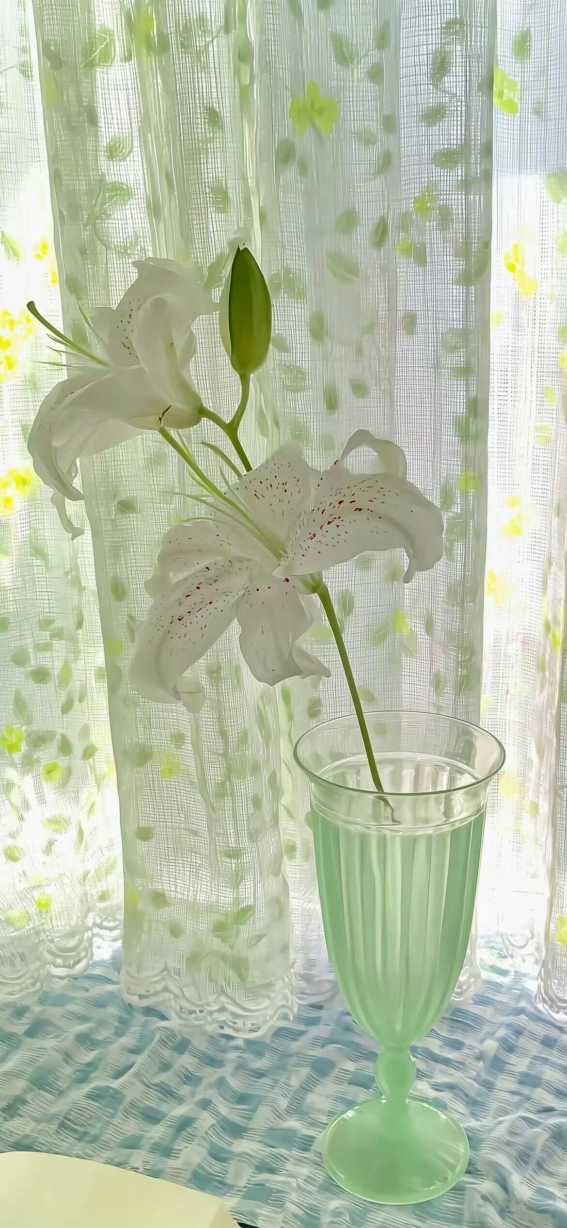 小众治愈系壁纸ꜰʟᴏᴡᴇʀ🌼🌷🍏 ∗ ₊˚𖤐 *. ⋆ 
