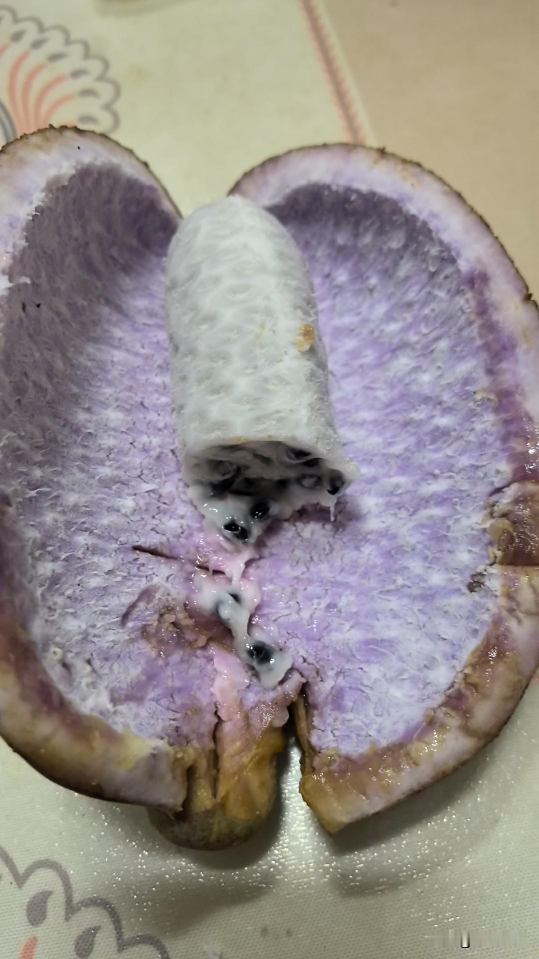 人死了，连骨灰都不留存。
刚看到一本书，说一个名人叫钱钟书，他有一遗嘱，说自己死