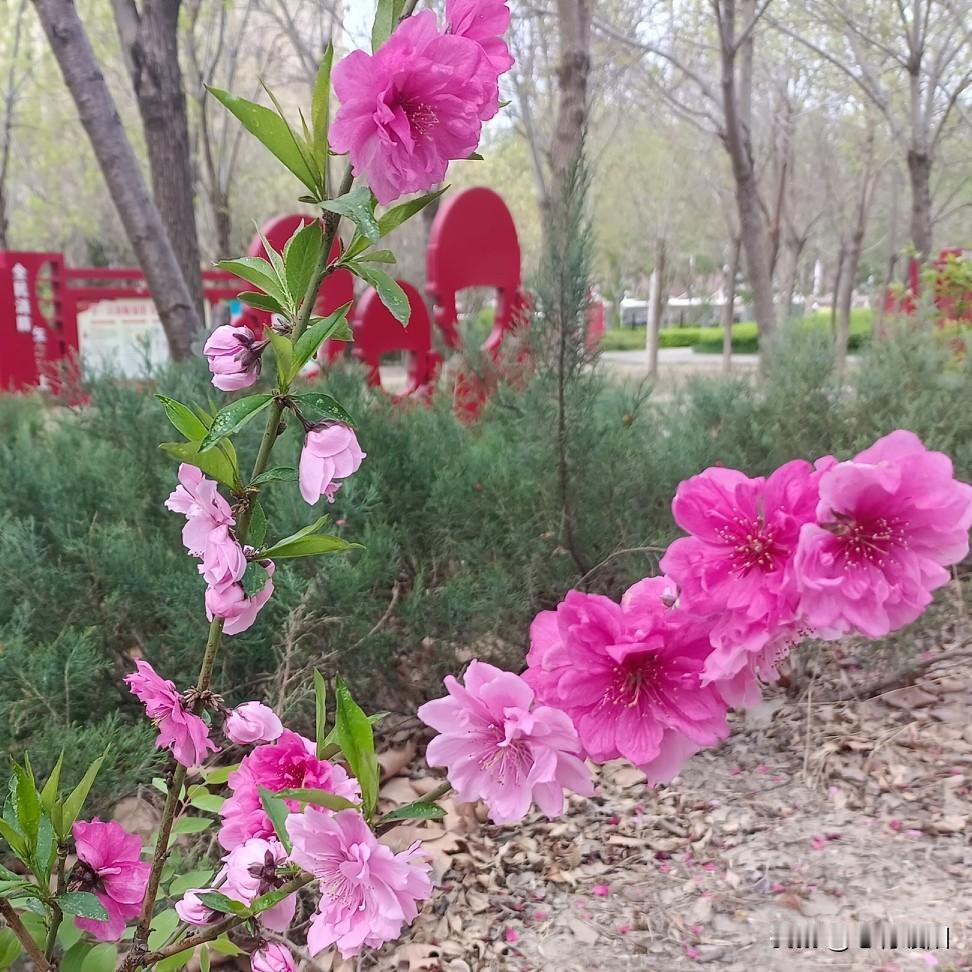 现在总有人把“捞女”当成一种生存智慧，觉得靠颜值、靠手段拿捏住男人，拿到钱和资源