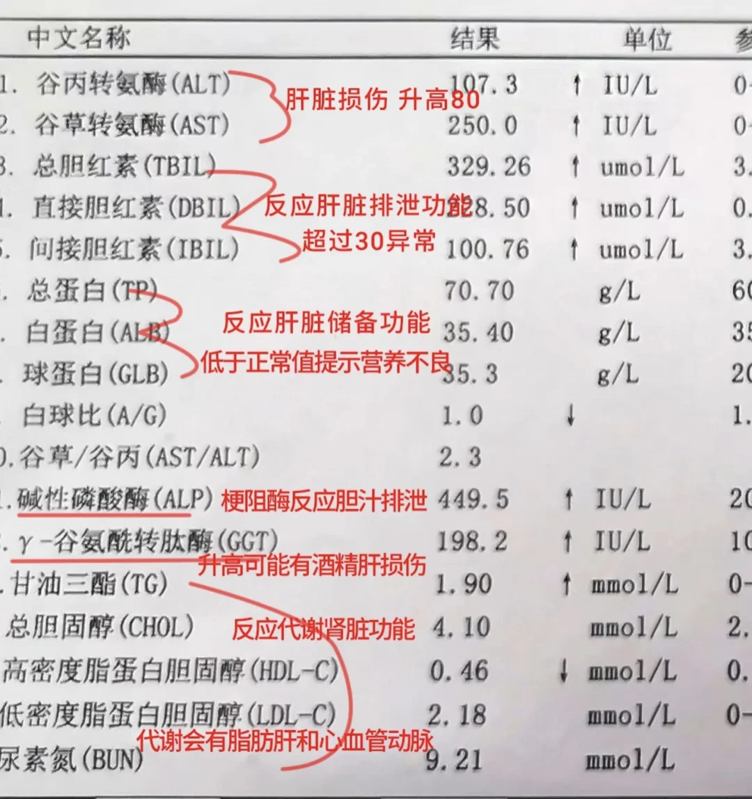 肝功能一图读懂各项含义！