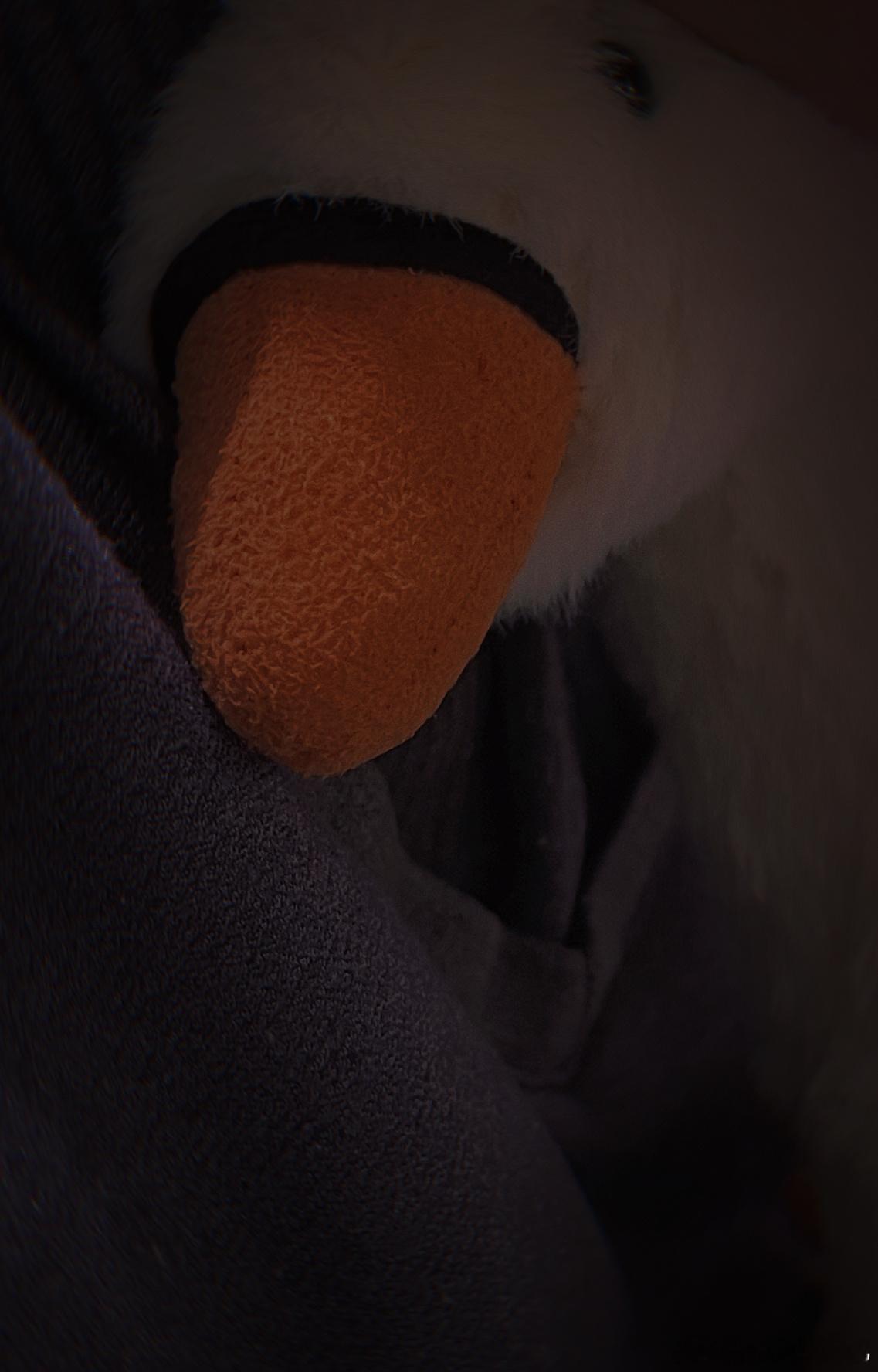 下午的时候右眼皮总跳，然后现在他急性肠胃炎一直拉肚子低烧[悲伤][悲伤]是不是Z