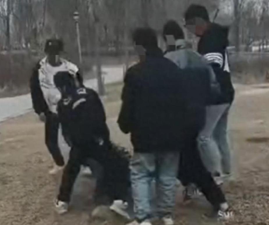 一名12岁的小学生因为拒“借”车，竟然被9个人打并被搜家，可却因为9人都是未成年